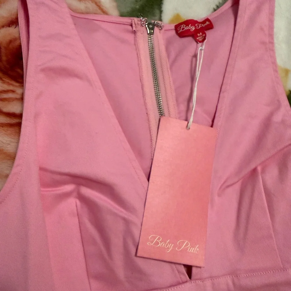 Pink Sleeveless A-Line Dress with Front Button Detail - Picture 4 of 5